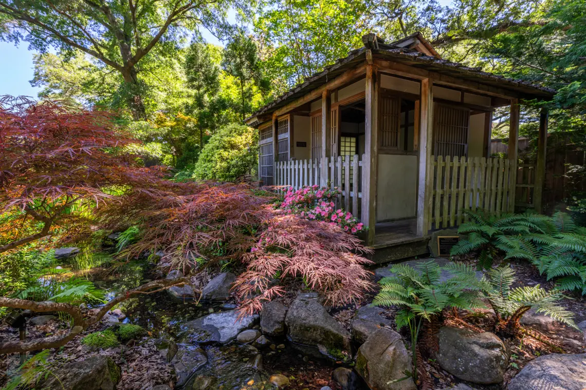 New Hanover County Arboretum