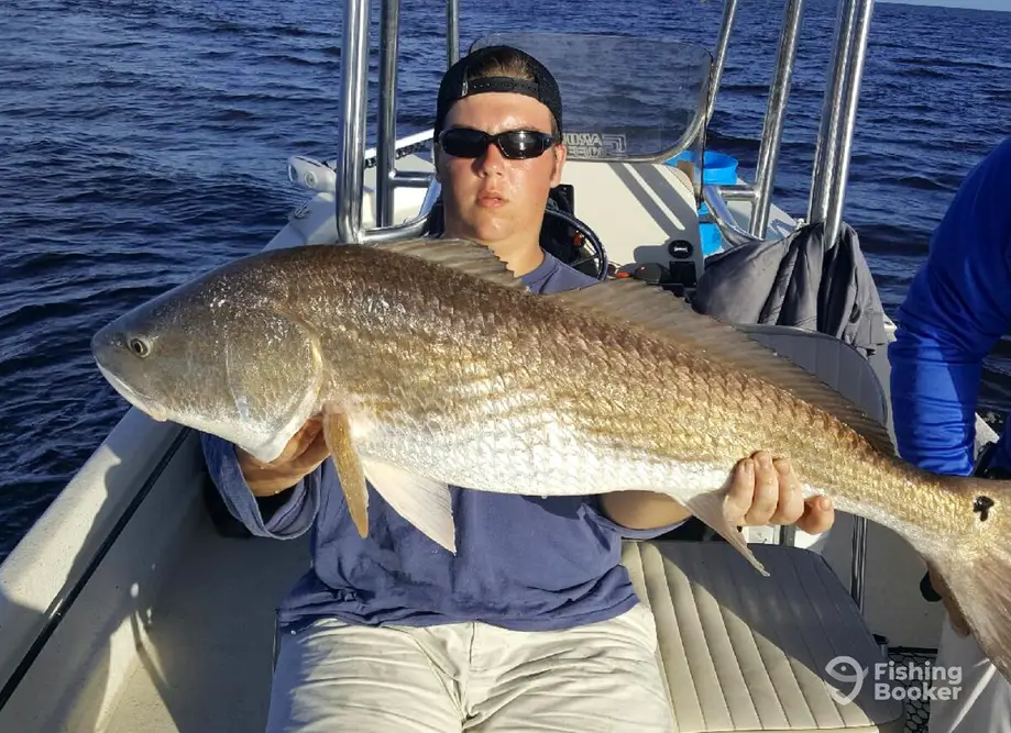 Rip N Lips Charters