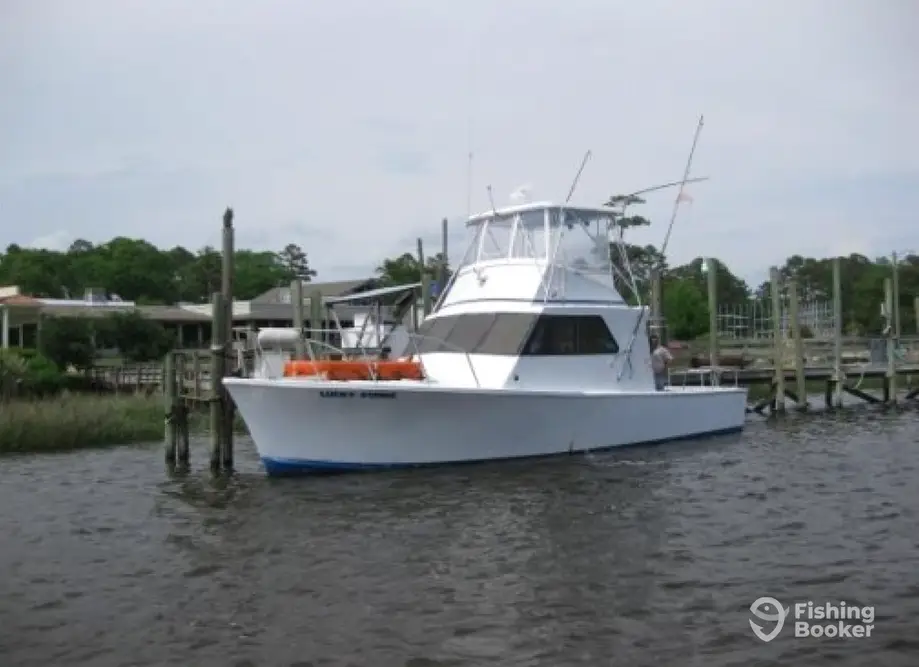 charter image 2