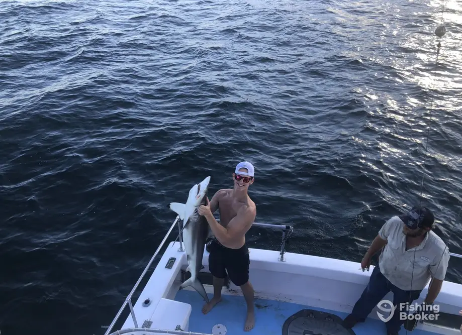 charter image 6