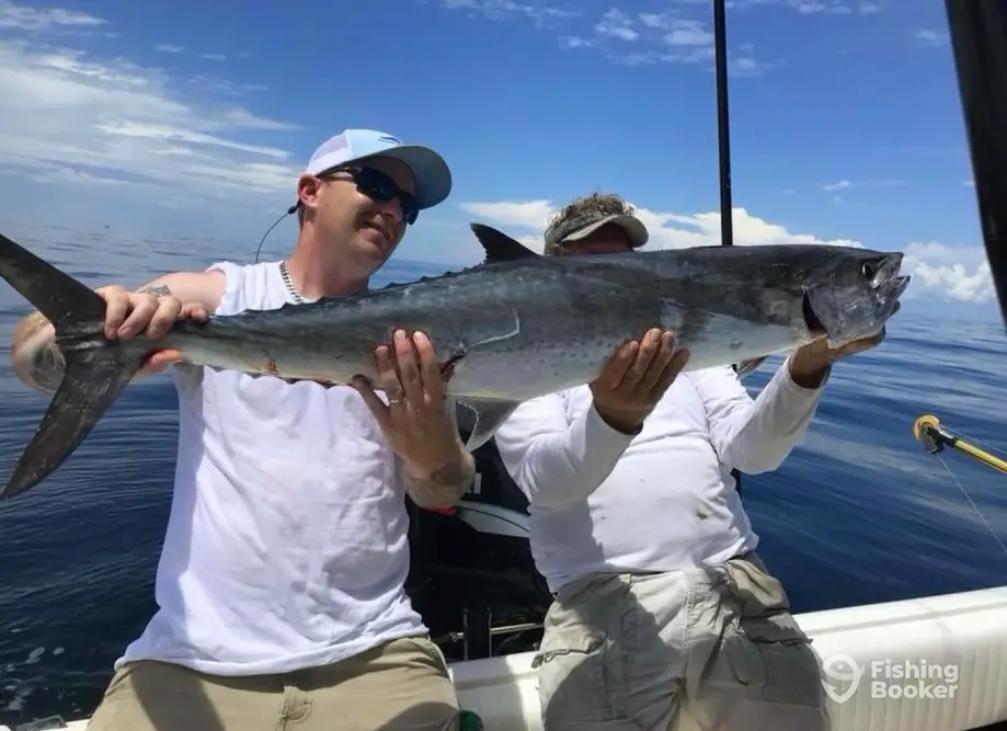 charter image 4